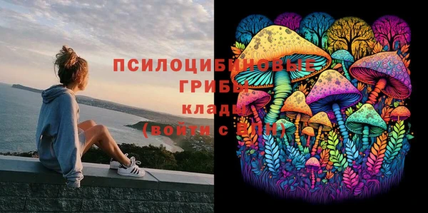 метадон Абинск