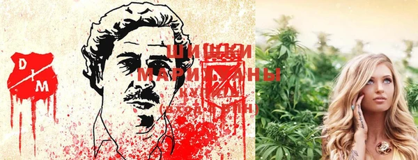 амф Елабуга