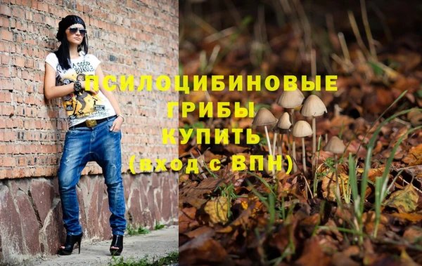 метадон Абинск