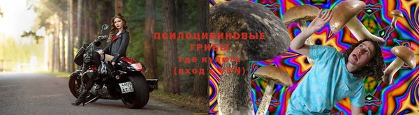 мяу мяу кристалл Ельня