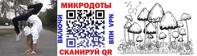 Галлюциногенные грибы мухоморы  Питкяранта 